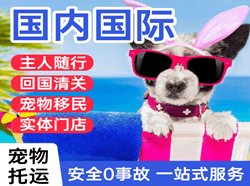 滋润空运国际宠物托运 【国